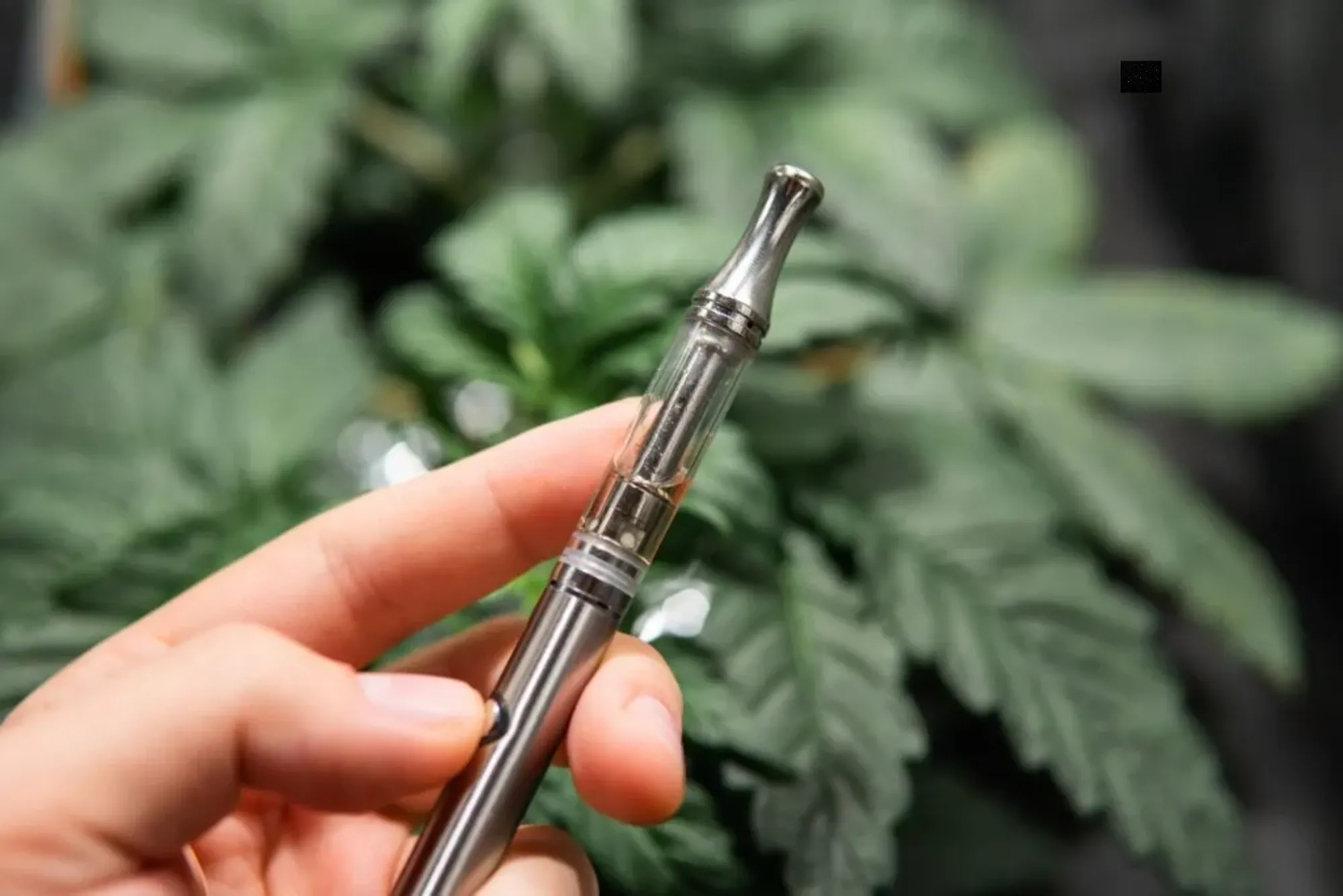 The Appeal of THC Vapes in the UK