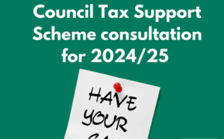 Check council tax balance